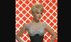 Where is Joey Heatherton today? Net Worth, Husband, Height, Age