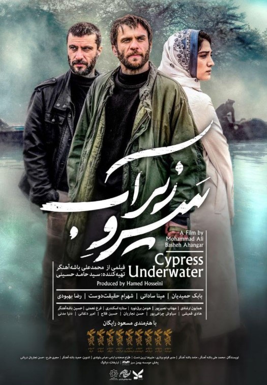 Homayoun Ershadi profession
