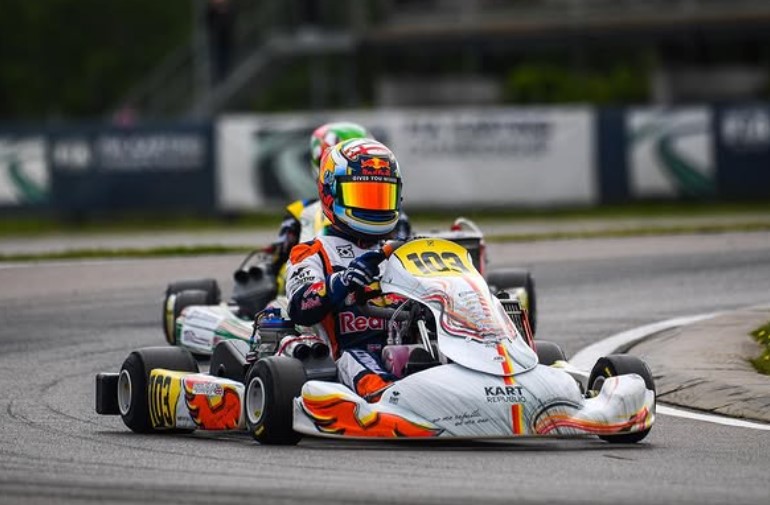 Arvid Lindblad profession