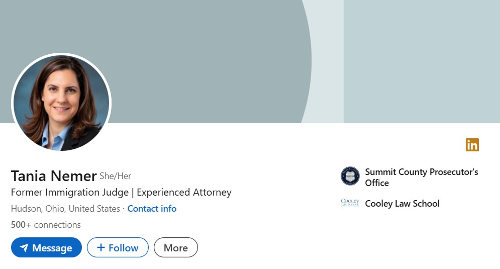 Tania Nemer's LinkedIn profile