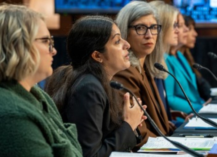 Dr Nisha Verma biography