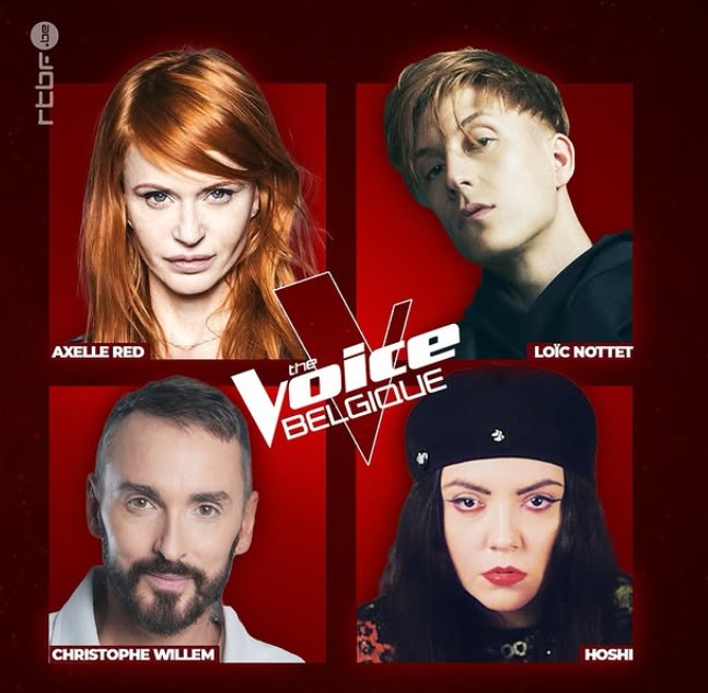 Christophe Willem is the judge on the show The Voice