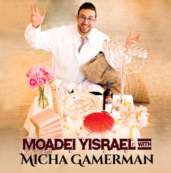 Micha Gamerman career
