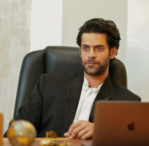 Abhay Arora wiki