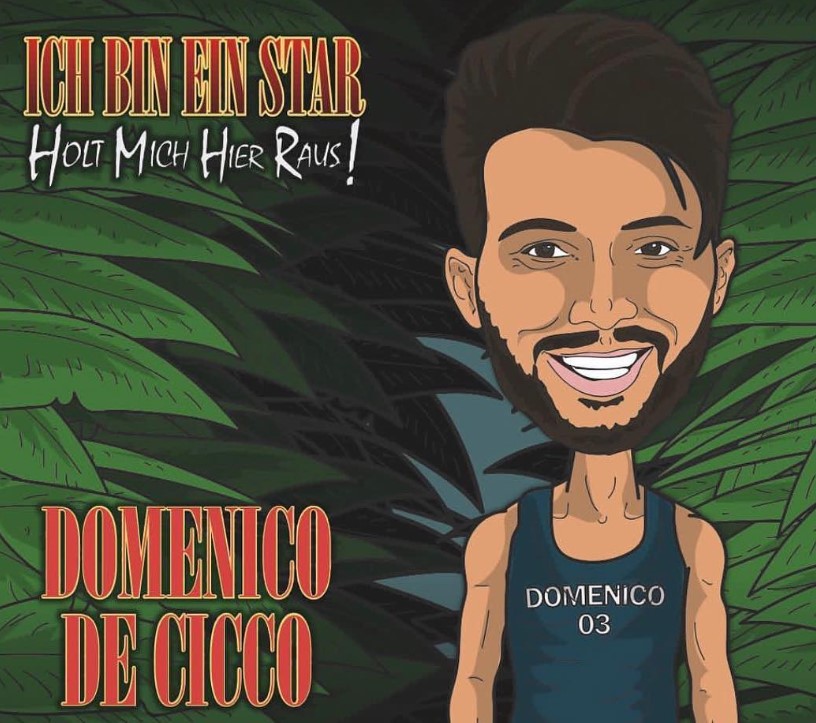 Domenico Cicco career
