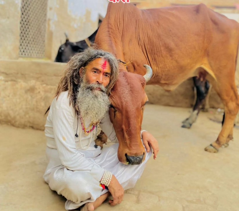 Farsa Wale Baba career