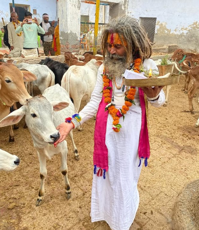 Farsa Wale Baba with his cows