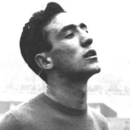 Gyorgy Sarosi bio