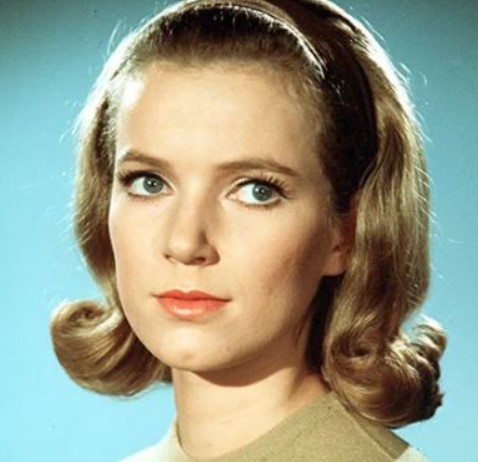 Michael Farmer's sister