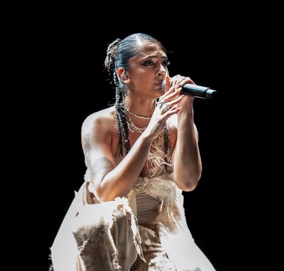Ambika Nayak career