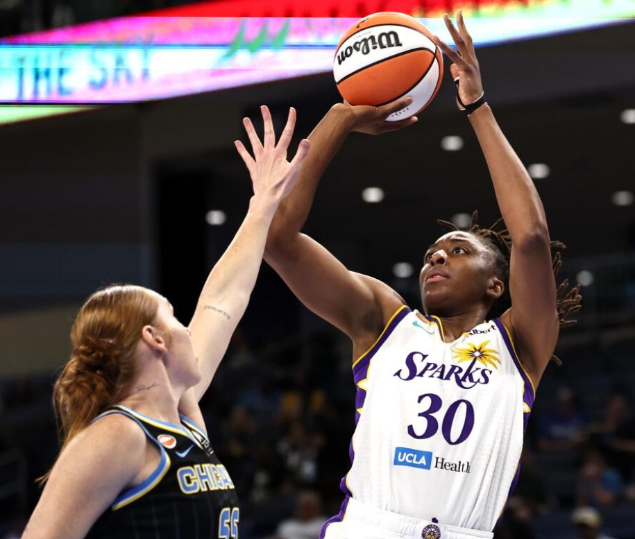 Nneka Ogwumike profession